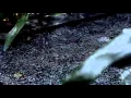 Download Lagu My Ex 2 Best movies horror thai full HD, English Subtitles