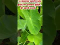 Download Lagu #swami #motivation #ytshorts #swami samarth songs #swami samarth aarti #tarak mantr