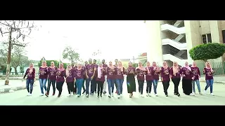 اغنية تخرج تجارة انجلش جامعة الزقازيق        دندنها