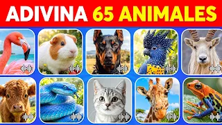 Adivina el Animal por su Sonido 🔊🐾 | 65 Sonidos de Animales🐶Chiko Quiz Trivia