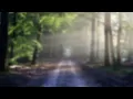 Unknown / Nth - Hozier (Sped up + Reverbed)