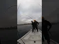 boat side eat forgive my freak out lol
