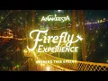 The Firefly Experience on the Treetop Skywalk