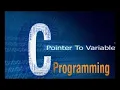 Application on pointer to variable - C Programming Language Tutorial Arabic