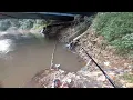 Download Lagu MANCING NILA UMPAN LUMUT SETAN