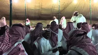 سامري العصفور في الحائر     دندنها
