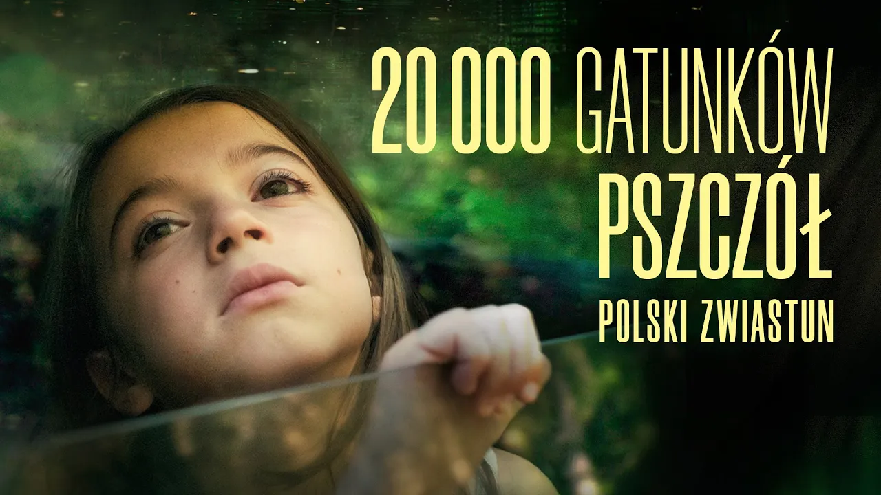 Zwiastun filmu 20 000 gatunków pszczół online