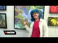Artist s love of color and Buffalo is revealed in her work