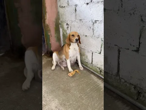 Mía dañó la muñeca de Madeley