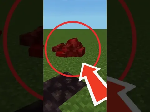 TOP 5 MOBS MAIS RAROS DO MINECRAFT