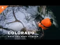 Don t Apply for Colorado Hunting Tags Until You Watch This