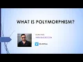 Java OOPS Concepts In Selenium - What is Polymorphism
