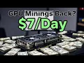 GPU Miners Just Hit a Gold Mine 7 Daily Earnings
