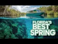 Weeki Wachee Springs