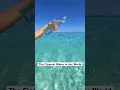 Download Lagu The Most Beautiful Beach in the World. Grace Bay Beach, Turks and Caicos 🇹🇨