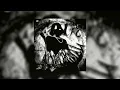 DJ V12 & SXID - FUNK ABNORMAL (ULTRA SLOWED)