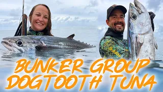 Dogtooth Tuna 🐟 on the Southern Great Barrier Reef?! 🐠 🪸  (Sailing Popao) Ep.67