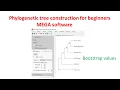 Phylogenetic analysis for beginners using MEGA 11 software