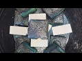 Download Lagu Crunchy Blue Reforms + Cripsy Plain Janes 🦚 Gym Chalk ASMR 🦚 Oddly Satisfying 🦚 Sleep Aid