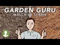 Which Mulch is the Best for Your Landscape Dig In
