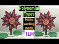 maths working model on types of polynomials - polynomials working model