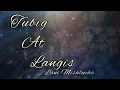 Download Lagu Tubig At Langis | Lani Misalucha | Lyrics Video