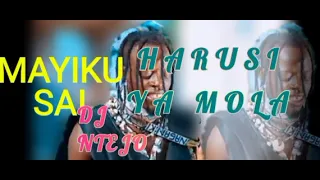 MAYIKU SAI HARUSI YA MOLA BY MBASHA STUDIO DJ NTEJO 21 10 2025 