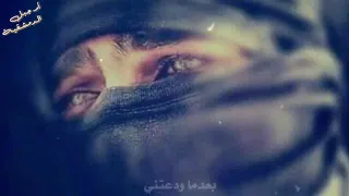 أضلعي تبكي فراقك يا أخي       المنشد نصر الشامي         دندنها