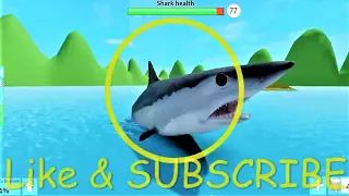 Download Memainkan Roblox SharkBite - video game serangan hiu gigitan hiu MP3