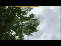 Ou Sezi Zanmim Ou Pat Panse Blan Tap Pale Kreyol? Gade Video Sa
