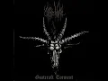 Urgehal - Satanic Black Metal in Hell
