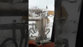 ЖЕНЯ ТРАКТОРИСТ 