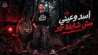أسد وعيني مش شايفة حد  أما انا جبل ما يهزه ريح   الشارع شاهد وعرفنا بجد يحي الديب                   دندنها