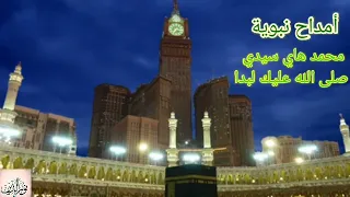 أمداح نبوية محمد هاي سيدي صلى الله عليك لبدا 