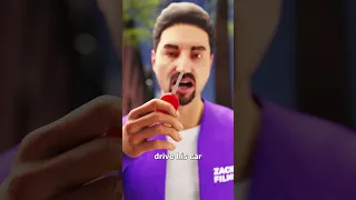 The Baby Bird That Took An Uber Alone 