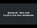 NodeJS Multer fileFilter not working