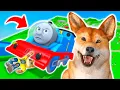 Download Lagu This Might Be The Best Thomas Roblox Game!