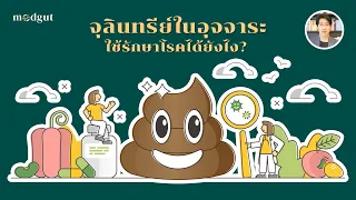 มีสัตว์ชนิดใดที่แสดงพฤติกรรมคล้ายการกินอุจจาระเพื่อรักษาตนเองหรือไม่