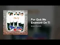 Grupo Bryndis - Por Qué Me Enamoré De Ti (Audio)