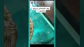 رهف القحطاني بالبكيني 