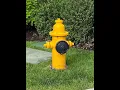 2021 Hydrant Inspections