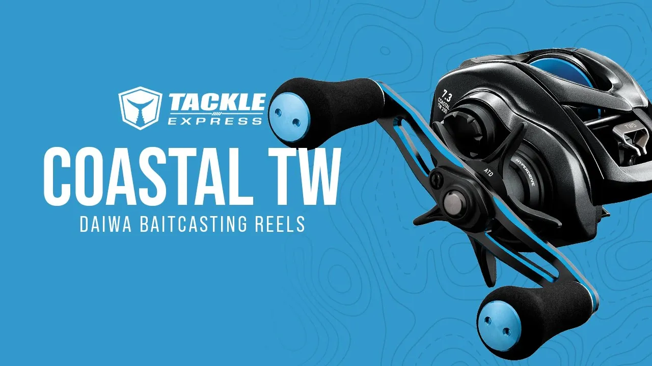 Daiwa Coastal TW 200 Baitcasting Reel