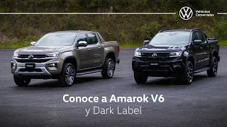 Revive el lanzamiento de Amarok V6 y Dark Label