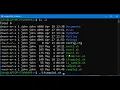 BASH If Statement Part 1