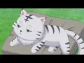 Download Lagu 『Lyrics AMV』Isekai wa Smartphone to Tomo ni ED Full／6 Girls Elze, Linze, Yae, Yumina, Sushie, Leen