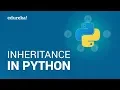 Inheritance In Python Types of Inheritance Python OOP Tutorial Edureka