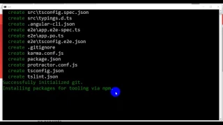 Angular 4 install on windows
