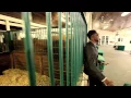 Download Lagu P-Jay Feat Flav: Padone'm