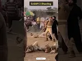 Download Lagu गदर 2 । Gadar - 2 शूटिंग। 🔥