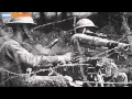 The Difference Between Veterans Day And Memorial Day